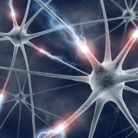Poliambulatorio Belvedere - Specialità e Servizi - Neurologia