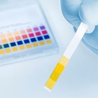 Poliambulatorio Belvedere - Specialità e Servizi - Urologia